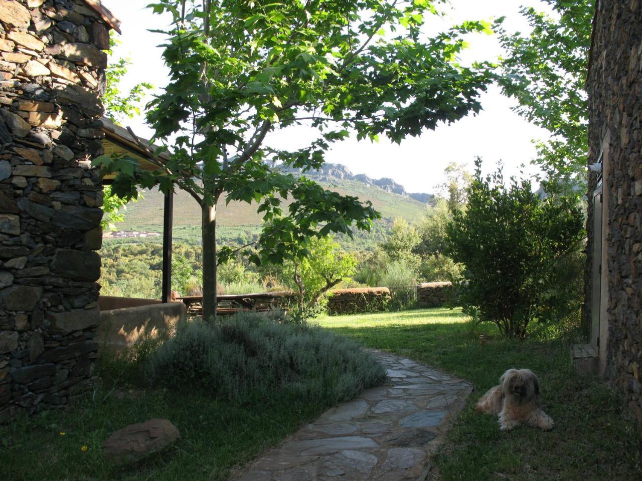 Quinta De Luna Villa Valencia de Alcántara Eksteriør billede